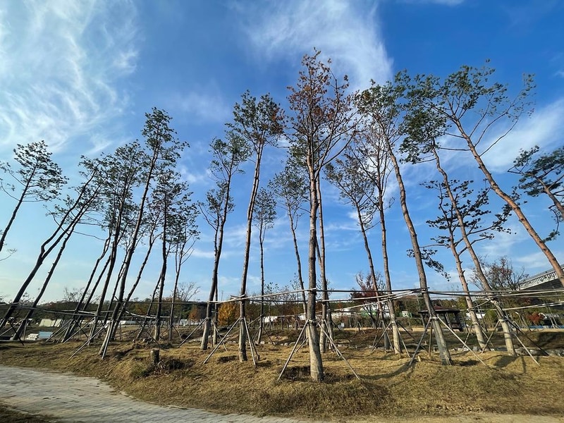 세종 합강캠핑장 시설 사진 4