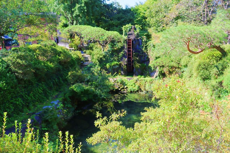 거목 글램핑 시설 사진 7