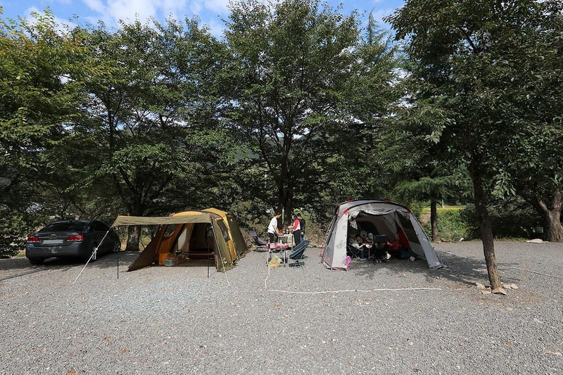 반딧불이 캠핑장 시설 사진 8