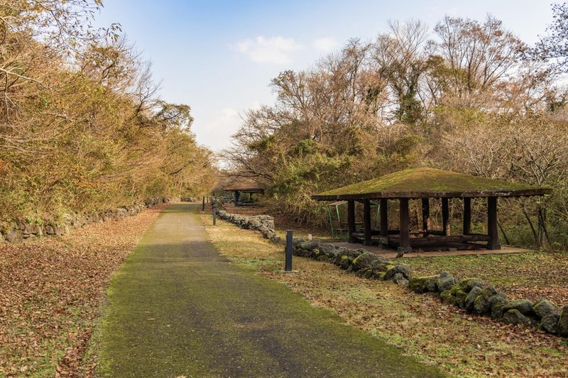 교래자연휴양림야영장 시설 사진 26