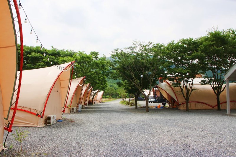 단양 글램핑&펜션 시설 사진 14