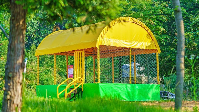 파인트리글램핑 시설 사진 17