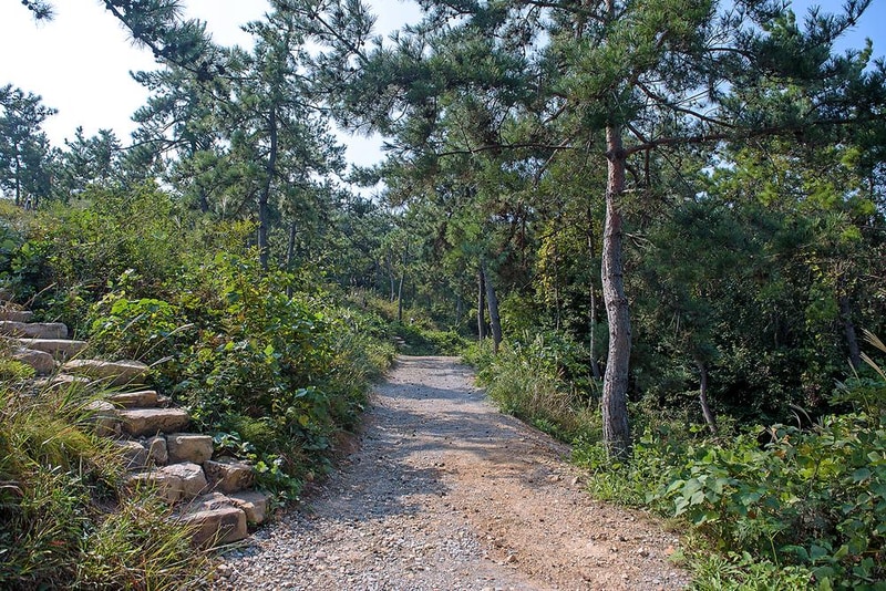 몽돌바다캠핑장 시설 사진 10