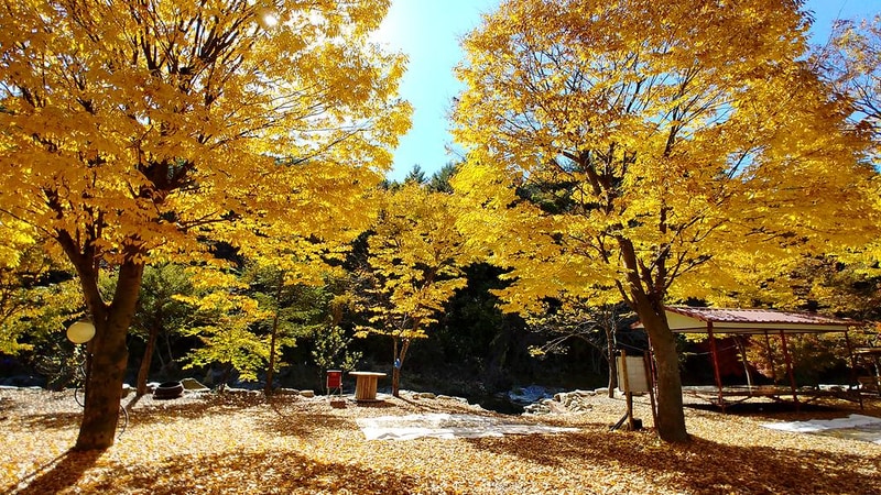 알파고글램핑 시설 사진 3