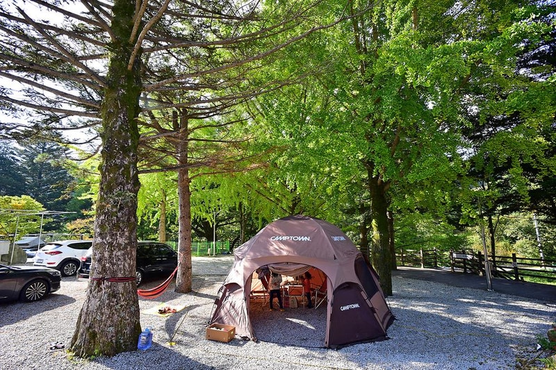 달빛고운 병곡캠핑장 시설 사진 6