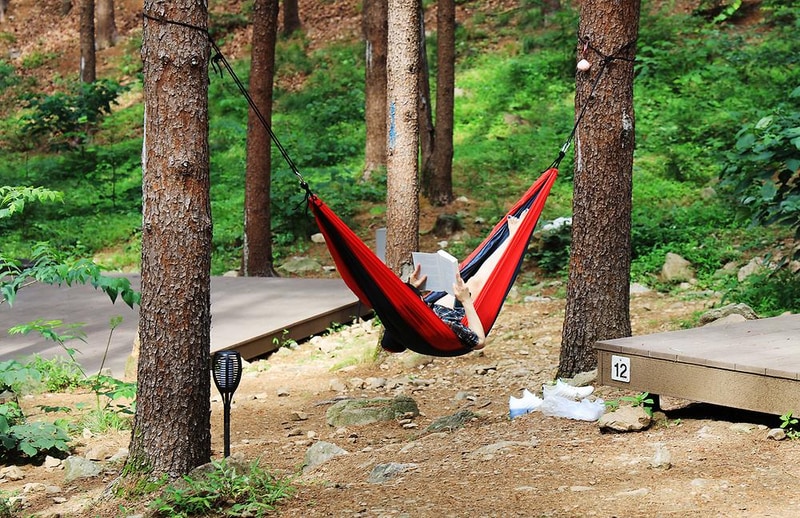 호명산잣나무숲속캠핑장 시설 사진 14