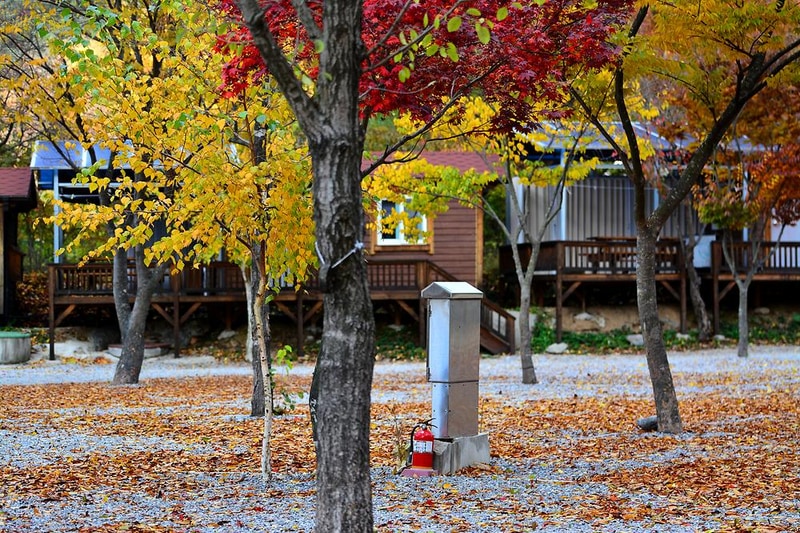 소풍캠핑장 시설 사진 16