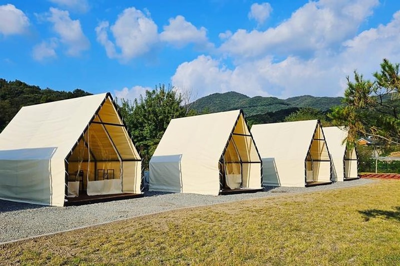 와우바베큐캠핑장 대표 사진