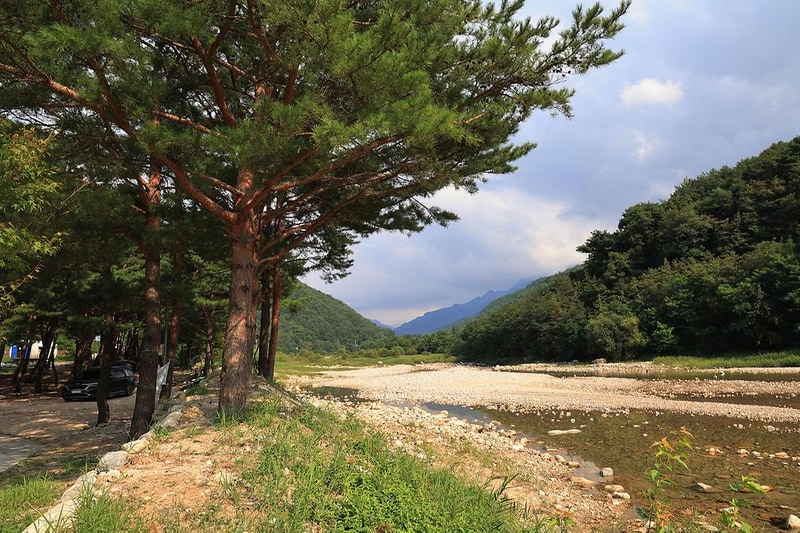 한계2리 솔밭야영장 시설 사진 3