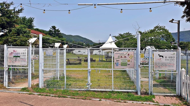 골드펫리조트 시설 사진 28