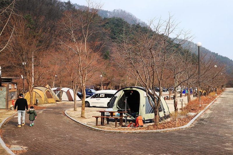 구룡자동차야영장(치악산국립공원) 시설 사진 11