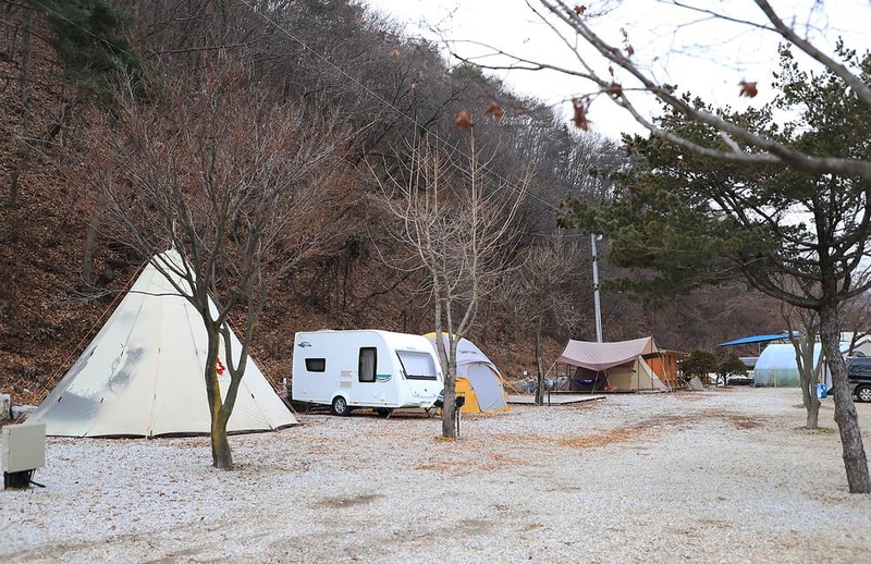 진밭골향기관광농원 야영장 시설 사진 16
