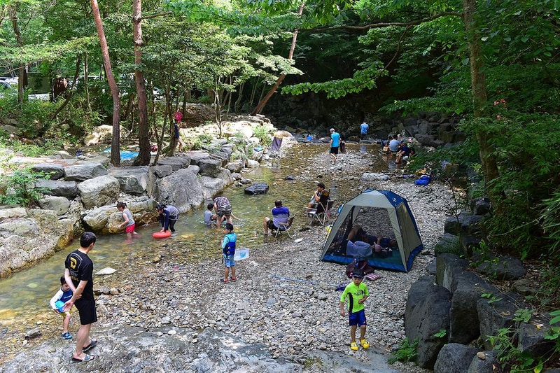 국립운장산자연휴양림 야영장 시설 사진 11