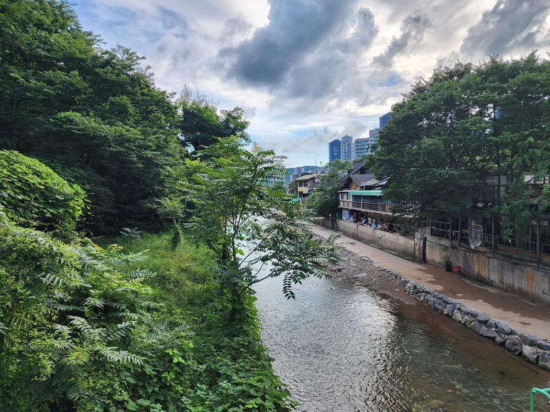 양주 장흥 브이아이피 캠핑장 시설 사진 15