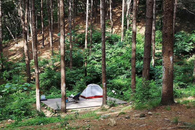 호명산잣나무숲속캠핑장 시설 사진 4