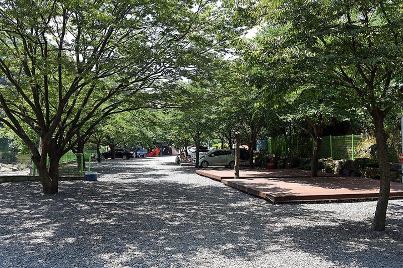 패밀리오토캠핑장