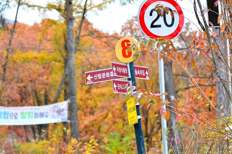 국립유명산자연휴양림 시설 사진 2