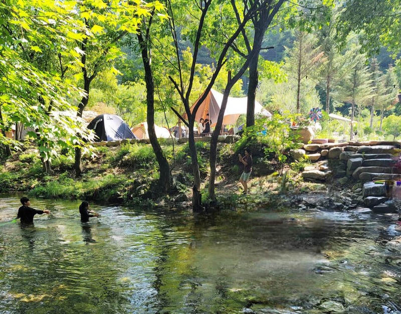 평창 자연속쉼표캠핑장 시설 사진 7