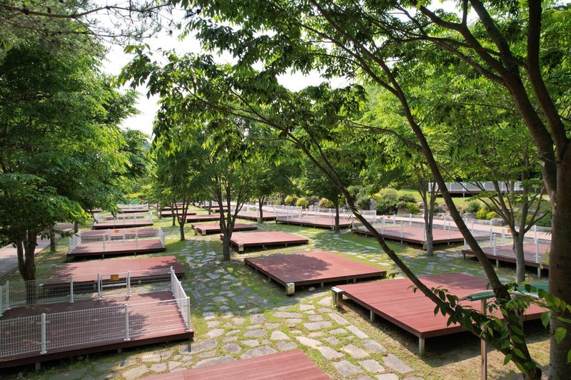 정선군생태체험학습장야영장 펫 동반 캠핑장 시설 사진 74