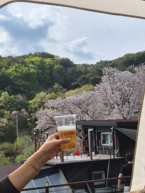 캠프 포레스트