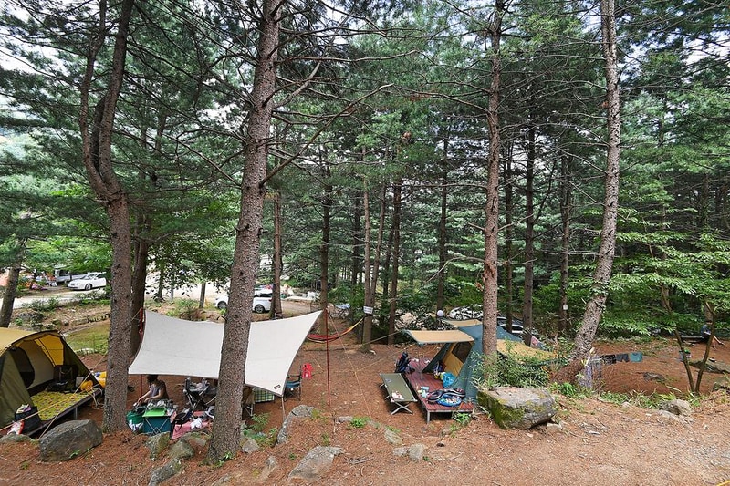 지리산 숲속의 쉼터 시설 사진 7