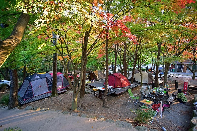 월출산국립공원 천황야영장 시설 사진 4