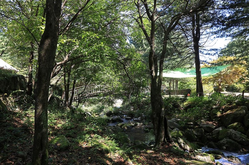 광덕그린농원 야영장 시설 사진 6