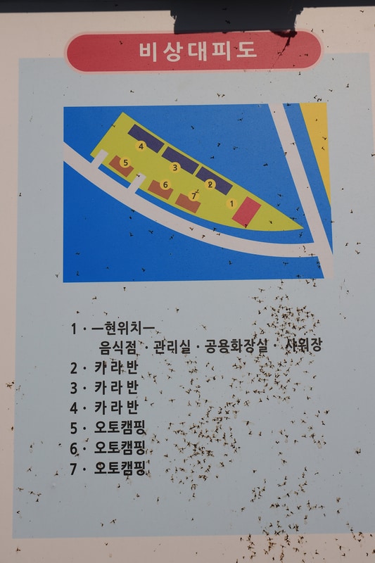 길안 다슬기캠프 배치도 1