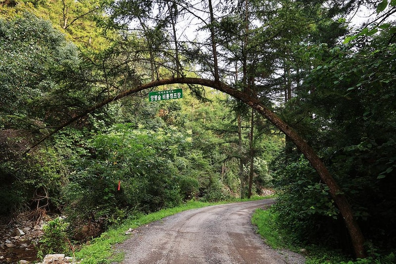 양평숲 비룡캠핑장 시설 사진 5