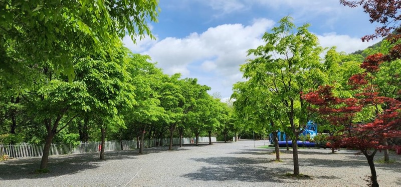 요기는캠핑장 시설 사진 19