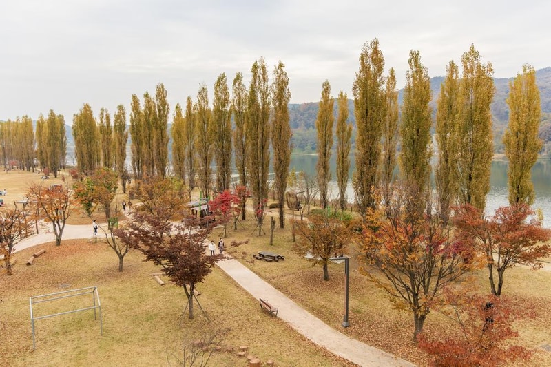 강천섬캠핑장 시설 사진 41