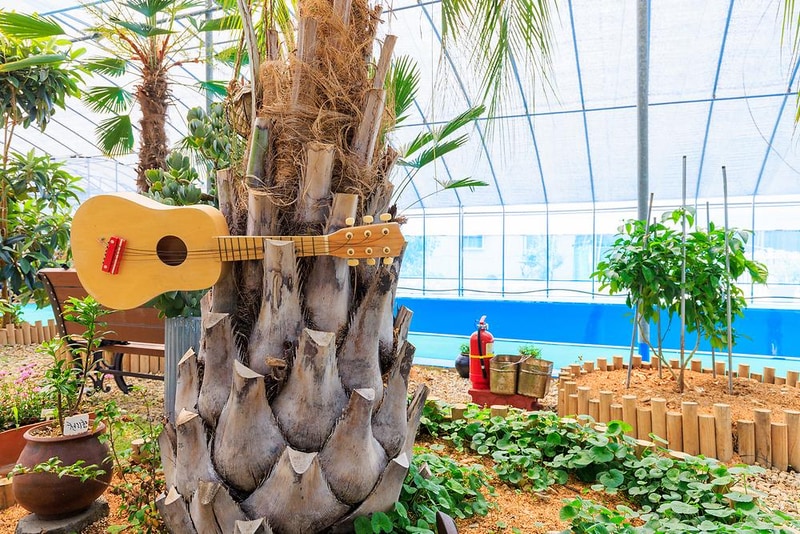 단아한 시설 사진 5