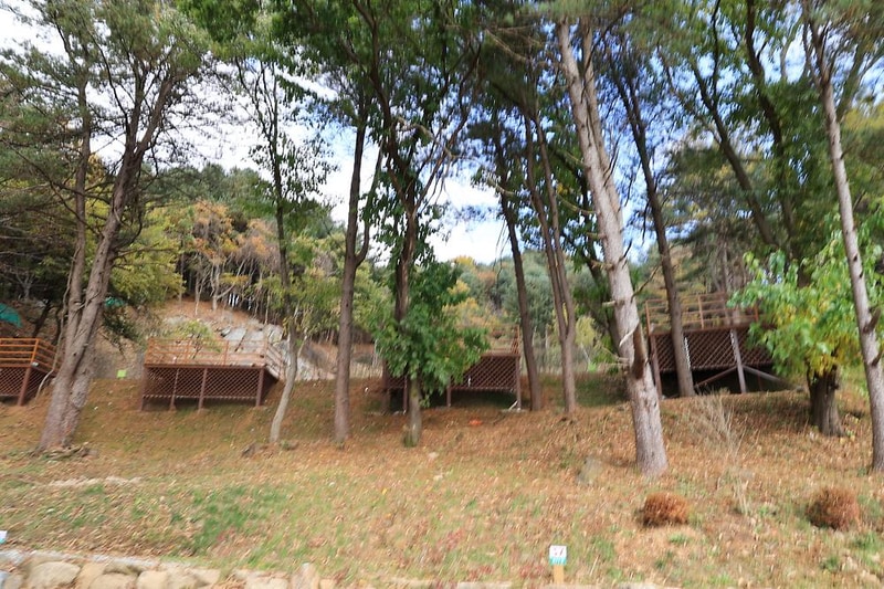 금동휴양림캠프3 시설 사진 9