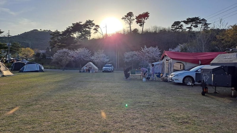 세울터 오토캠핑장 & 펜션 시설 사진 10