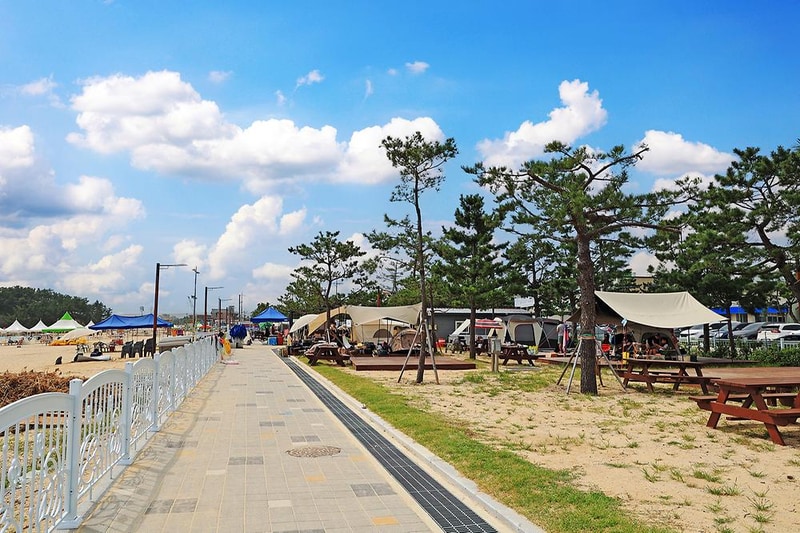 오호(OHO!) 캠핑장 시설 사진 12