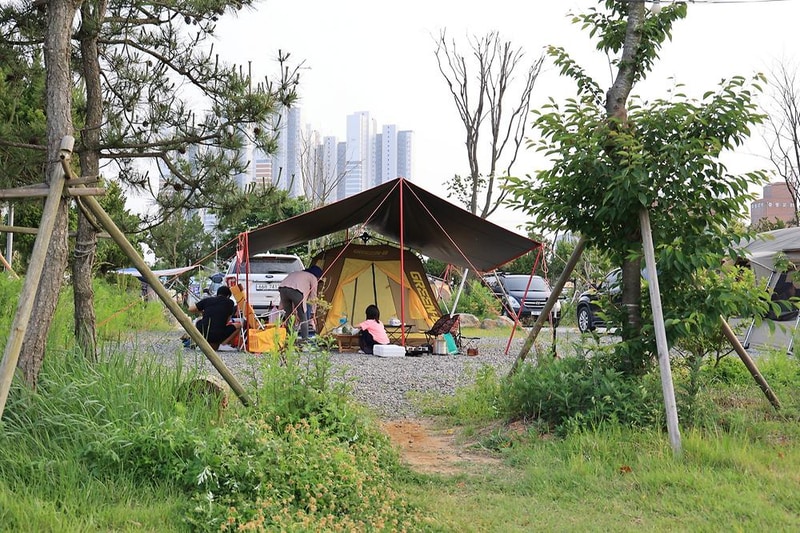 버드오토캠핑장 시설 사진 1
