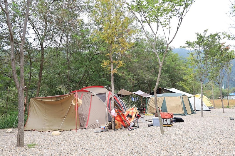 메타피아 오래캠핑장 & 카라반 시설 사진 17