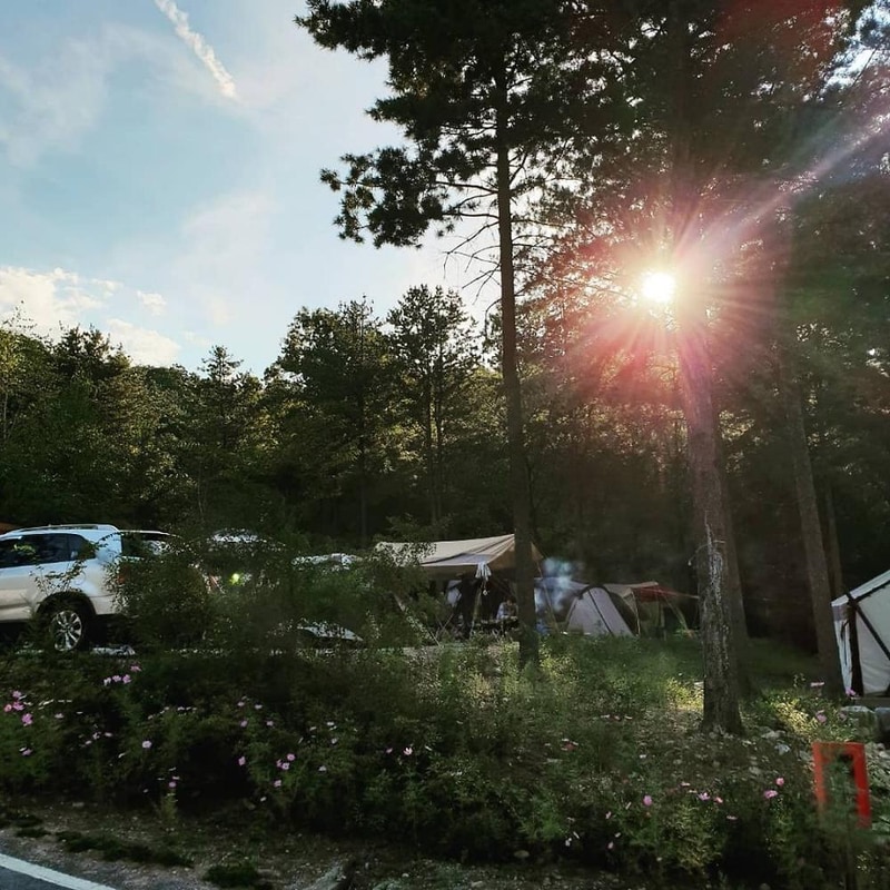 양평 다목적캠핑장 시설 사진 7