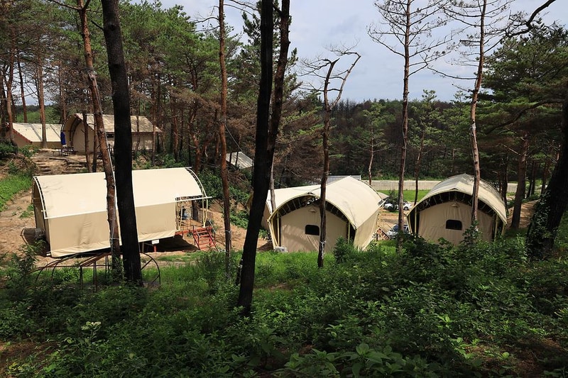 속초 밤하늘글램핑 시설 사진 4