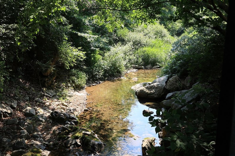 캠프1975 시설 사진 14