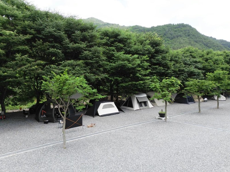법흥계곡캠핑오늘 시설 사진 27
