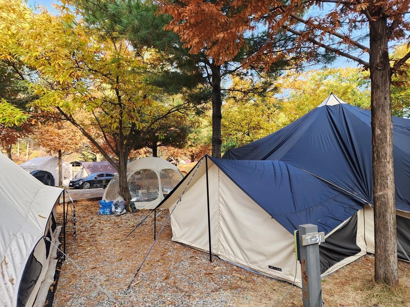 김포캠핑파크 주식회사 시설 사진 18