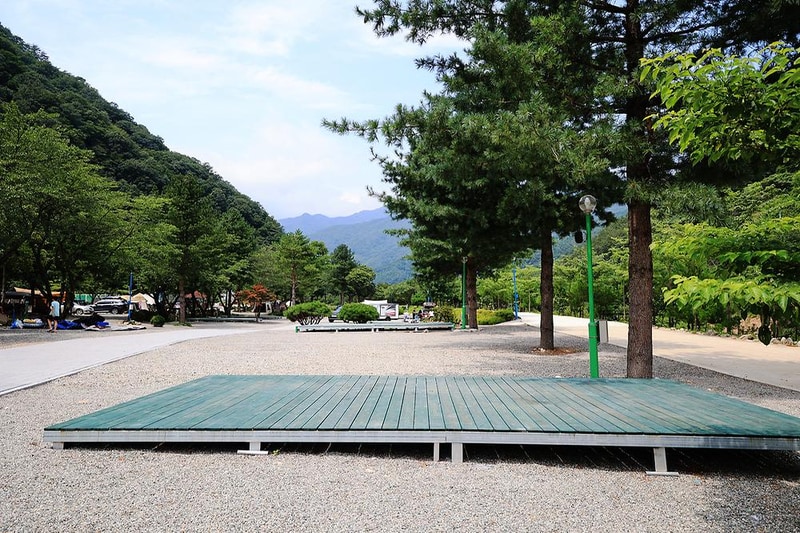 오색허브농원 캠핑장 시설 사진 10