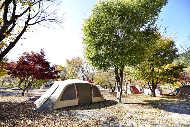 별빛오토캠핑장 대표 사진