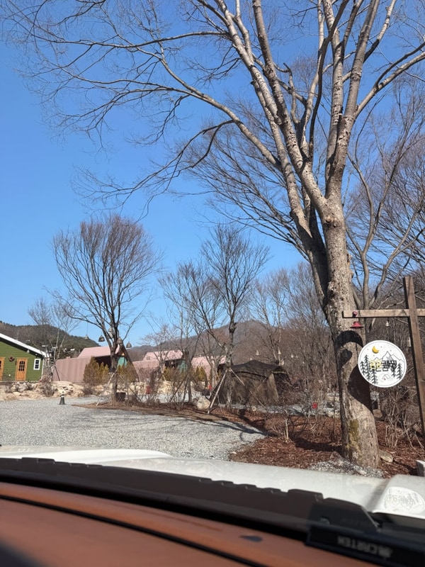 온온 대표 사진