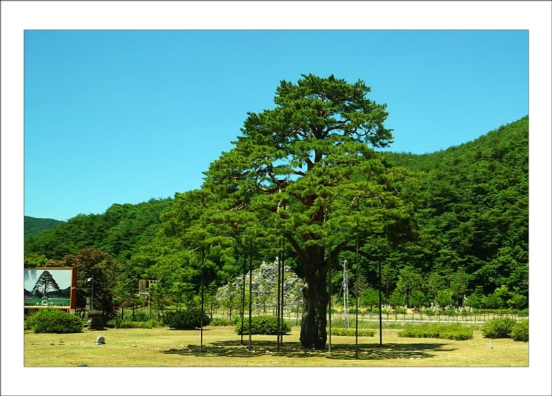 속리산 테마파크