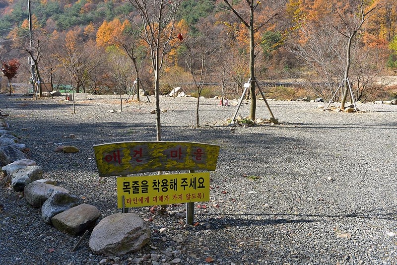 숲이조아 오토캠핑장 시설 사진 10