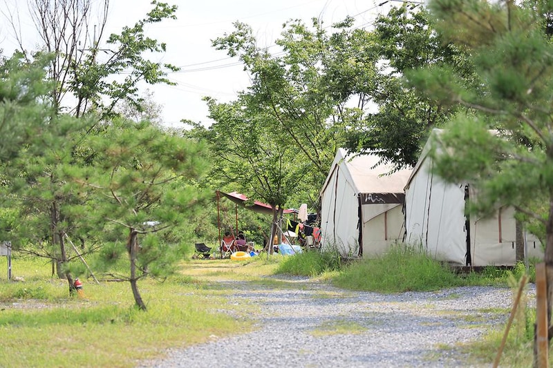 계곡과느티나무 캠핑장 시설 사진 15