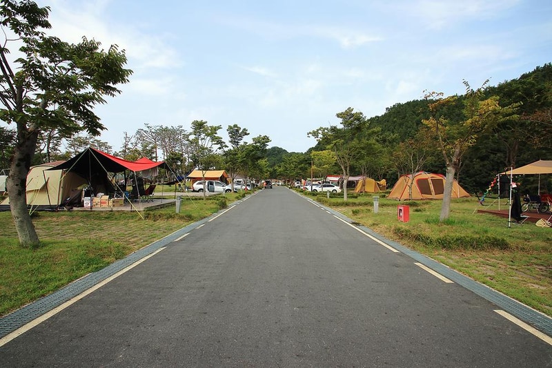 인삼골오토캠핑장 시설 사진 8