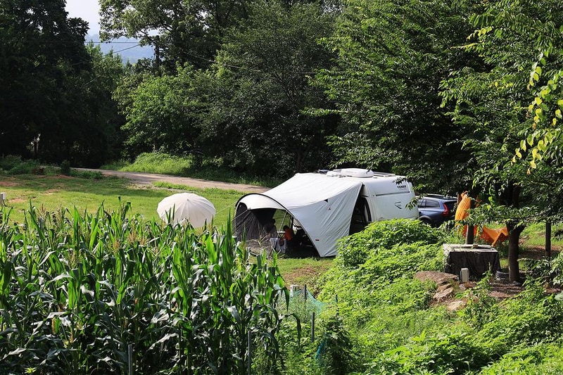 산머루농원캠핑장 시설 사진 5